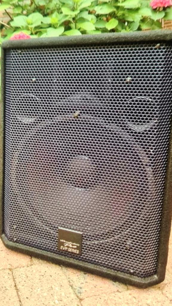 Pro EVP-15 luidsprekers, Audio, Tv en Foto, Luidsprekers, Zo goed als nieuw, Front, Rear of Stereo speakers, 120 watt of meer