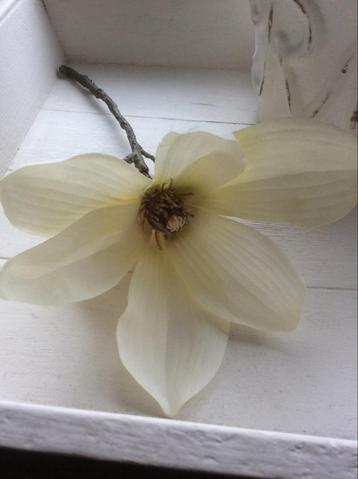 Riverdale  Mooie decoratieve magnolia tak 2 stuks beschikbaar voor biedingen