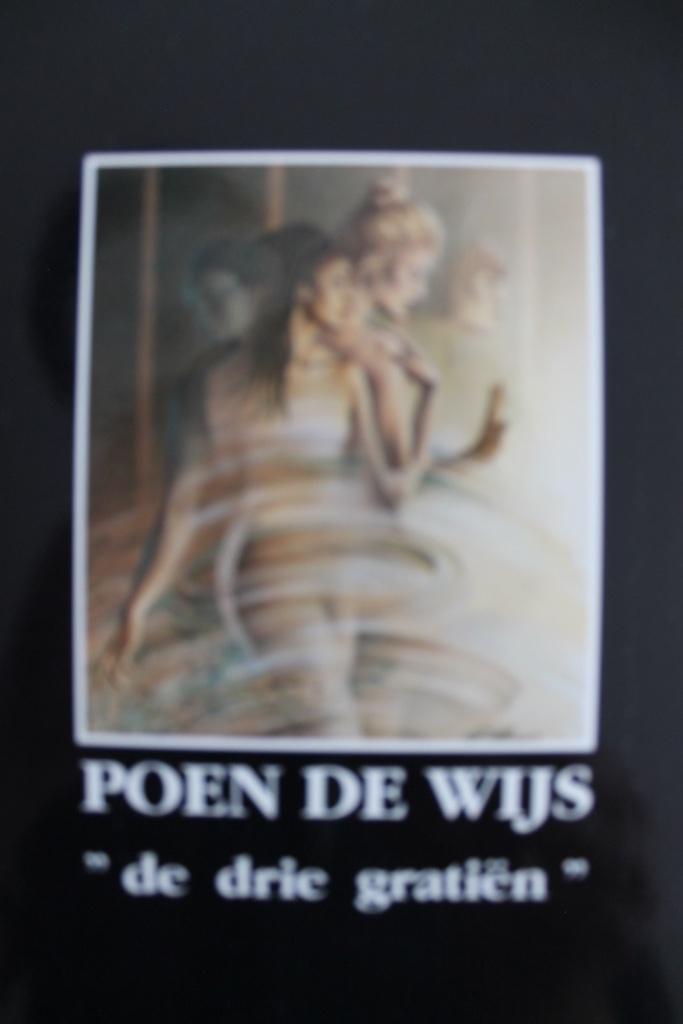 Poen de Wijs - De drie gratiën (schilderkunst), Boeken, Kunst en Cultuur | Beeldend, Zo goed als nieuw, Schilder- en Tekenkunst