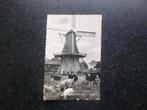NORG Molen met Vee  1962                  F, Ophalen of Verzenden, 1960 tot 1980, Drenthe