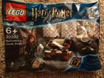 Lego Polybag Harry Potter 30392 Hermione's Study Desk, Ophalen of Verzenden, Nieuw