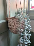 Hangende overpot/ hangpot, Ophalen of Verzenden, Halfschaduw, Minder dan 100 cm