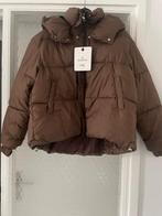 dames jas XL, Kleding | Dames, Jassen | Winter, Bruin, Maat 46/48 (XL) of groter, Nieuw, Ophalen of Verzenden