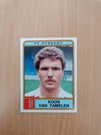 Panini Voetbal 84 #266 Koos van Tamelen-FC Utrecht., Verzamelen, Sportartikelen en Voetbal, Ophalen of Verzenden, Zo goed als nieuw