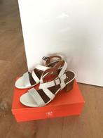 Cellini leren sandalen, nieuw in doos, maat 40, Ophalen of Verzenden, Nieuw