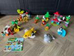 Duplo dieren van de wereld 10907, Ophalen of Verzenden, Zo goed als nieuw, Complete set, Duplo