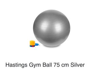 Hastings gym ball /beval bal beschikbaar voor biedingen