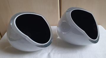 2 Lushes cups Carina Riezebos beschikbaar voor biedingen