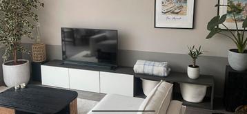 IKEA Besta tv-meubel, professioneel geverfd - unieke kast!