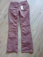 Nieuwe ribfluwelen broek van Blue Brothers, Paars, Nieuw, Ophalen of Verzenden, Blue Brothers