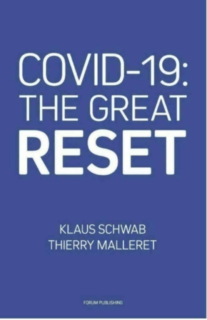 Covid-19: The great reset PDF, Klaus Schwab & Thierry Maller, Verzenden, Zo goed als nieuw, Gezondheid en Conditie