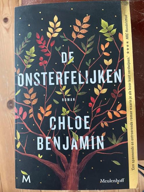 Chloe Benjamin - De onsterfelijken, Boeken, Literatuur, Zo goed als nieuw, Nederland, Ophalen of Verzenden