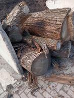 Stammen Wilg, Tuin en Terras, Haardhout, 3 tot 6 m³, Ophalen, Overige houtsoorten, Stammen