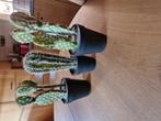 NEP CACTUSSEN, Huis en Inrichting, Woonaccessoires | Kunstplanten en Kunstbloemen, Ophalen of Verzenden, Binnen