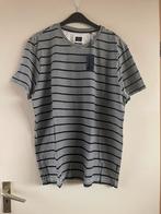 Nieuw costes shirt maat 3xl met kaartje, Kleding | Heren, Grote Maten, Overige kleuren, Shirt, Nieuw, Ophalen of Verzenden