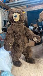 Beer Steiff, Verzamelen, Ophalen, Zo goed als nieuw, Stoffen beer, Steiff