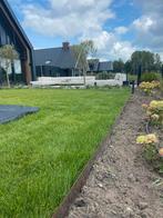 Graszoden grasrollen premium kwaliteit incl bezorging, Tuin en Terras, Gras en Kunstgras, Ophalen, Nieuw, 20 m² of meer, Gras
