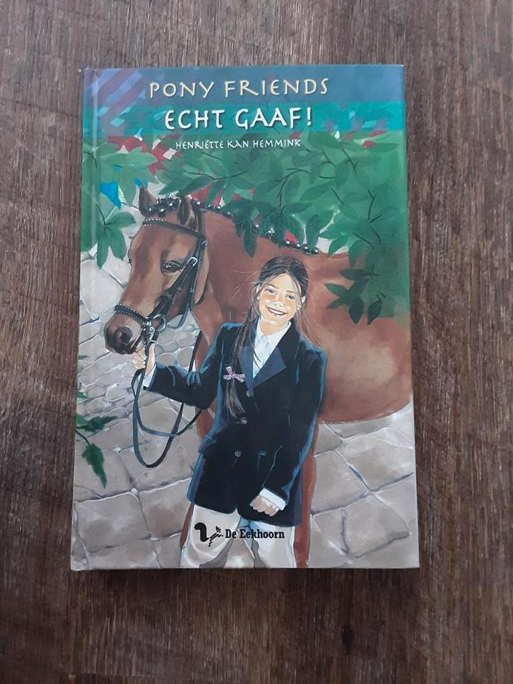 H. Kan Hemmink - Echt gaaf!, Boeken, Kinderboeken | Jeugd | 10 tot 12 jaar, Zo goed als nieuw, Ophalen of Verzenden