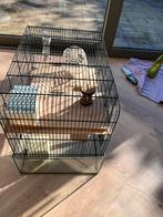 Kooi/Hok voor hamster of knaagdier., Dieren en Toebehoren, Knaagdieren en Konijnen | Hokken en Kooien, Minder dan 75 cm, Muis