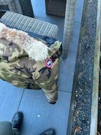 Canada goose chilliwack bomber M, Kleding | Heren, Jassen | Winter, Ophalen of Verzenden, Zo goed als nieuw, Zwart