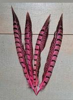 4 stuks roze veren , fazant veren ,feestveren, Gebruikt, Materiaal, Ophalen of Verzenden, Nvt