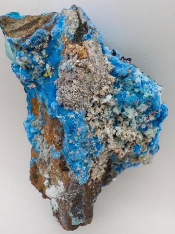 Cyanotrichiet – Guizhou, China beschikbaar voor biedingen