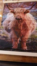 wandkleed buffel met verlichting, Huis en Inrichting, Woonaccessoires | Wanddecoraties, Ophalen, Nieuw