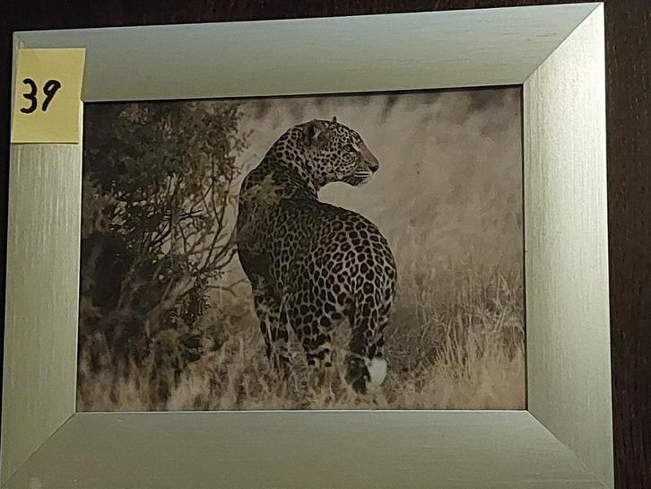 Foto wissellijstjes €3,00 per stuk (lijst 2), Audio, Tv en Foto, Fotografie | Fotolijsten, Zo goed als nieuw, Ophalen of Verzenden