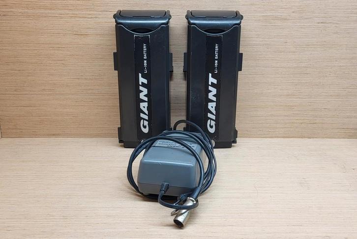 Giant Twist Accu 36V Fietsaccu 2 Stuks + Oplader Getest 95Km, Fietsen en Brommers, Fietsaccessoires | Fietsaccu's, Gebruikt, Ophalen