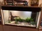 Aquarium met filter 80b X 49h X 45d, ca. 176l, met deksel, Dieren en Toebehoren, Ophalen of Verzenden, Zo goed als nieuw, Leeg aquarium