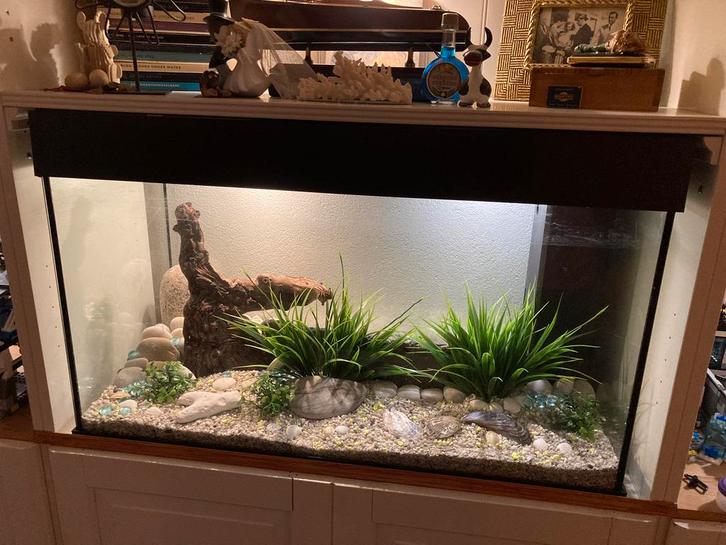 Aquarium met filter 80b X 49h X 45d, ca. 176l, met deksel, Dieren en Toebehoren, Vissen | Aquaria en Toebehoren, Zo goed als nieuw