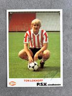 PSV spelerskaart Ton Lokhoff met handtekening, Ophalen of Verzenden, PSV, Spelerskaart