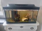 Aquarium aquatlantis 60L te koop!, Dieren en Toebehoren, Vissen | Aquaria en Toebehoren, Ophalen, Gebruikt