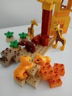 !!  🐆 Duplo Safari & Zoo & Boomhut & Dino's🦒 !!, Kinderen en Baby's, Speelgoed | Duplo en Lego, Complete set, Duplo, Ophalen of Verzenden