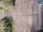 Gratis!!, Ophalen, Zo goed als nieuw, 10 m² of meer, Beton