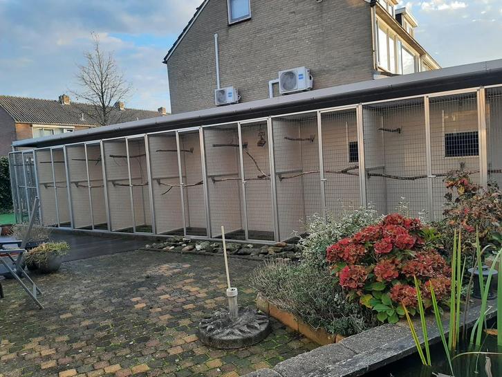 Kweek volière papegaaien, Dieren en Toebehoren, Vogels | Hokken en Kooien, Gebruikt, Volière, Aluminium, Ophalen