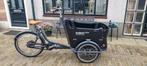 Nieuwe Babboe curve mountain bakfiets, Fietsen en Brommers, Fietsen | Bakfietsen, Ophalen, Nieuw, 4 kinderen of meer