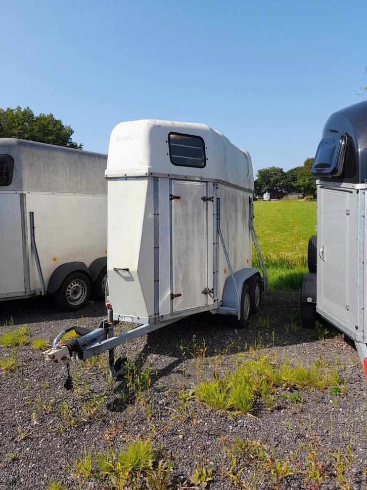 Impex 1,5 paards trailer, Dieren en Toebehoren, Paarden en Pony's | Trailers en Aanhangwagens, Gebruikt, 1½-paards trailer, Ophalen