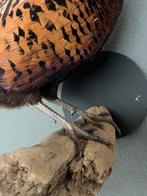 Ogezette fazant, Ophalen of Verzenden, Nieuw, Drinken en Voederen