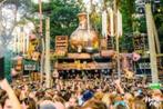 Into the Woods Festival vrijdag 19 september, Tickets en Kaartjes, Evenementen en Festivals, Eén persoon