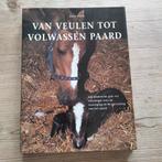 J. Lorch - Van veulen tot volwassen paard, J. Lorch, Ophalen of Verzenden, Zo goed als nieuw, Paarden of Pony's