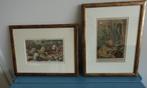2 antieke kleurenlitho's met o.a. zeeschelpen, Ophalen of Verzenden, Overige typen