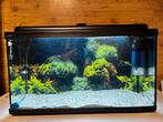 100L aquariumset, Dieren en Toebehoren, Ophalen, Gebruikt, Leeg aquarium