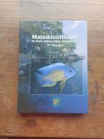 Malawi chichilden in hun natuurlijke omgeving - ad konings, Ophalen of Verzenden, Zo goed als nieuw