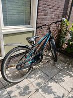 Mountainbike - Gebruikt, Gebruikt, Hardtail, Heren, 53 tot 57 cm