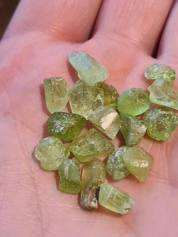 Ruwe Peridoot stukjes – ca. 49,77 ct beschikbaar voor biedingen