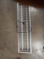 TL bakken, Ophalen of Verzenden