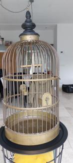 Vogelkooi, Antiek en Kunst, Curiosa en Brocante, Ophalen