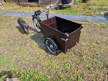 babboe honden bakfiets beschikbaar voor biedingen