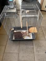Vogelkooi, Dieren en Toebehoren, Vogels | Hokken en Kooien, Ophalen, Gebruikt, Metaal, Vogelkooi